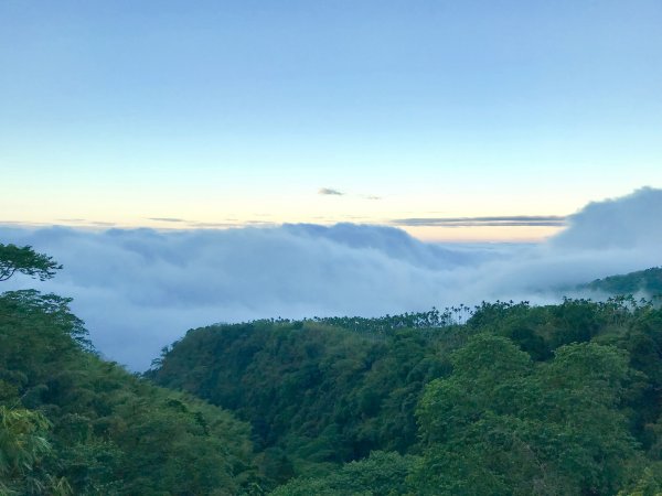 竹林饗宴--瑞太古道登雲戴山順走九芎坪山493544