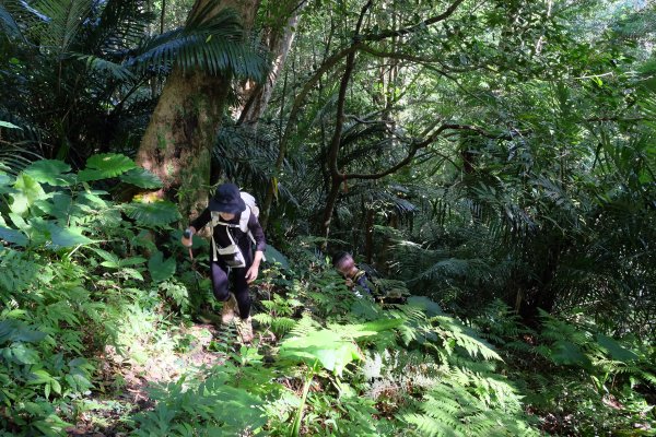 新竹尖石鄉 煤源社區上李棟山、大混山出凌空廊道2550487