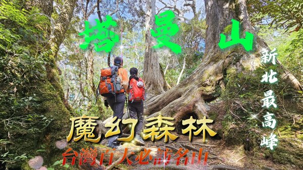 【塔曼山】魔幻森林、新北最高峰、台灣百大必訪名山。