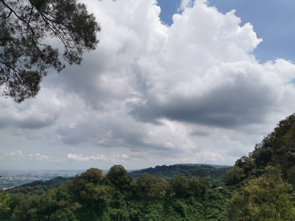 田中森林登山步道-依山稜線而建且景觀良好1048112