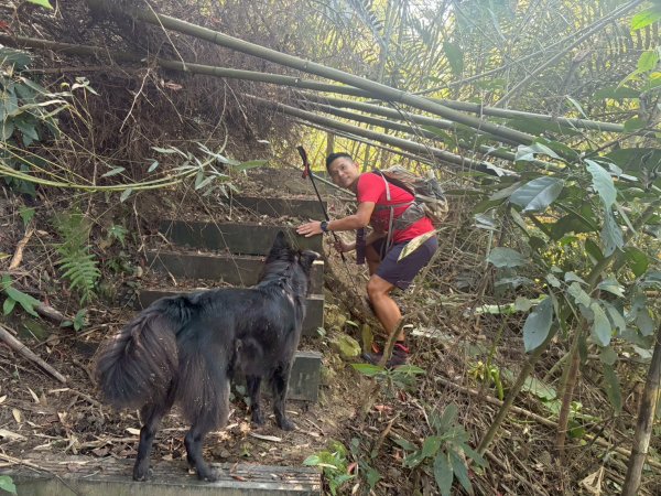 埋伏坪步道.大安溪峽谷.鯉魚潭水庫【該不會就這樣被廢棄了吧??】2956073