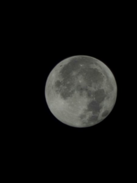 20250810 一日單攻桃山2919377