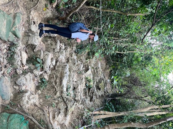 20251102_柴山（高雄小百岳）2941434