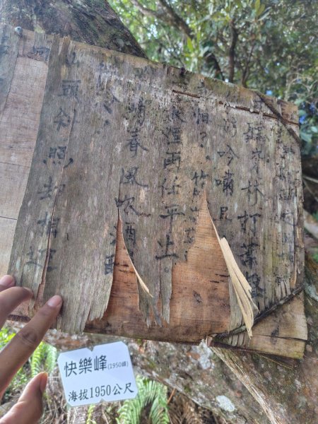 長壽山、肥崠山、醜崠山、大崠山、大崠山經建版2931566