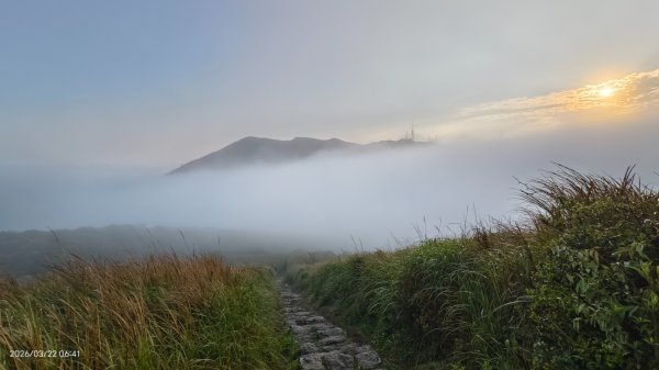#大屯山 #雲海 3/223019592