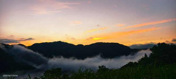 跟著雲海達人山友追雲趣 #草莓月亮 #月圓雲海 #霞光 #日出雲海 #茶園 6/112808774