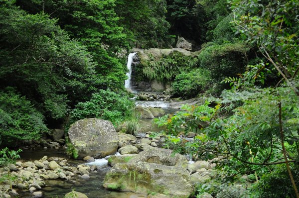 圓潭自然生態步道617084