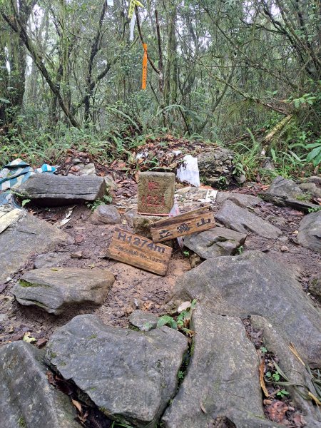 砂卡礑二日行D1：得卡倫步道→大禮部落→砂卡礑林道→立霧山→大同部落202312022368275