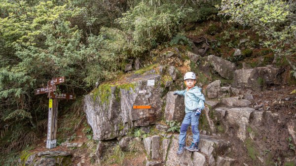 玉山前峰-翻越石瀑的第五座百岳之旅。2254870