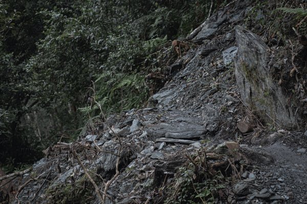 瓦拉米步道-佳心營地住一晚2708460