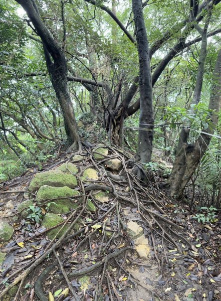 登頂領會如鳶高飛之鳶山1935694