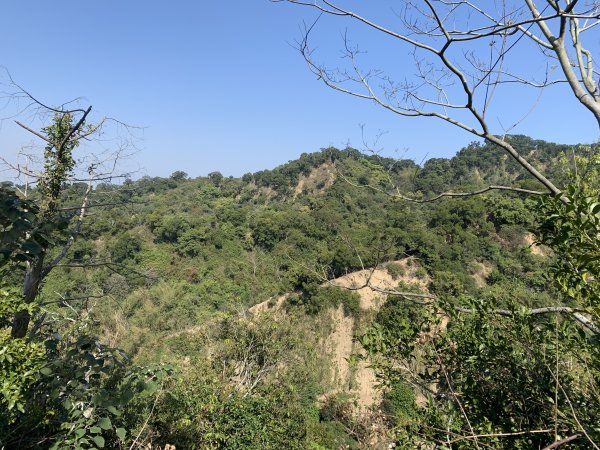 20250322南投松柏坑山-大棚山2745846