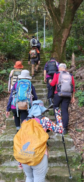 2026-0412 奇岩山_唭哩岸山_丹鳳山_軍艦岩3034863