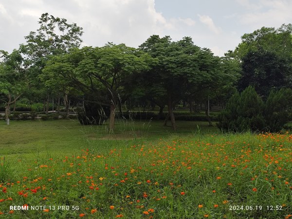 大安森林公園、安湖三號公園【走路趣尋寶，全臺齊步走】2530645