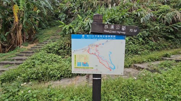 20251215林口森林步道+太平嶺海濱步道2969424