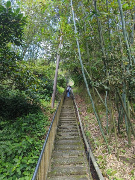 2026.03.14－微笑山線：【五分山系】3015435