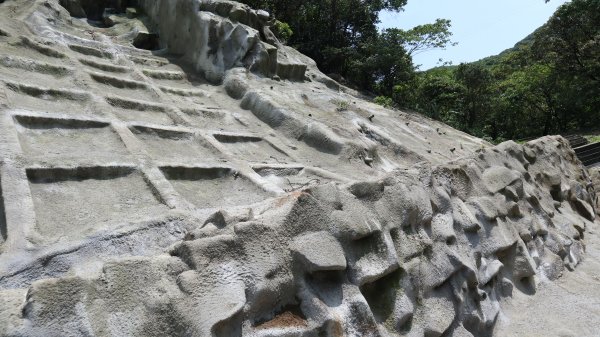 大粗坑古道連走小粗坑古道O型登山健行趣(步道)2160247