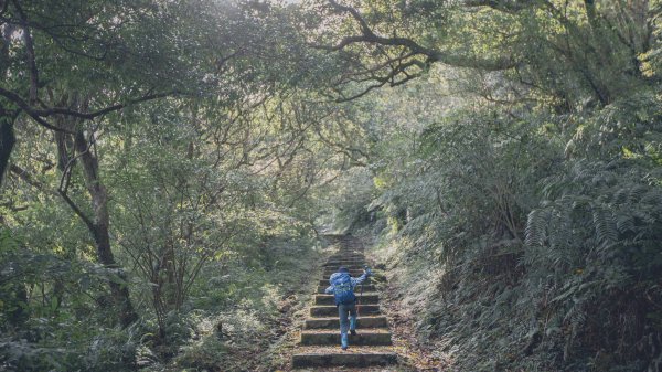 雨鞋登山初體驗-大屯山南峰、大屯山西峰連走1647934