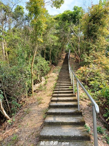 【彰化員林】綠樹林間散散步。 臥龍坡步道1691267