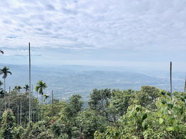 阿拔泉.獨立山悠遊--好友重逢的雲端漫步   2026.01.172985440