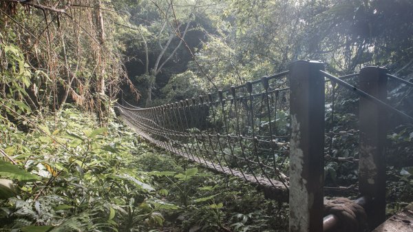 馬胎古道 （馬胎一期、南坪古道、內灣老街）3073799