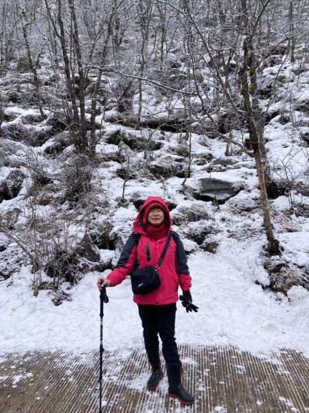 四川黃龍風景名勝區2935570