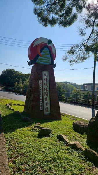 20260110楊梅福人步道-老坑山-保甲古道-東森山林步道-小楊梅步道-秀才步道茶園段2982026