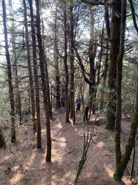 一日單攻白姑大山821452