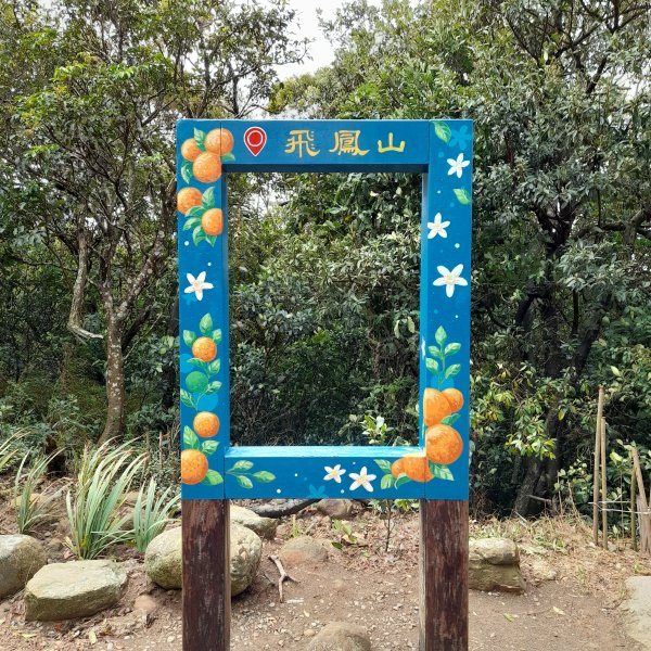 小百岳No.27⛰飛鳳山(中坑山)2405848
