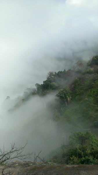 20151226泰安鄉熊佧山27751