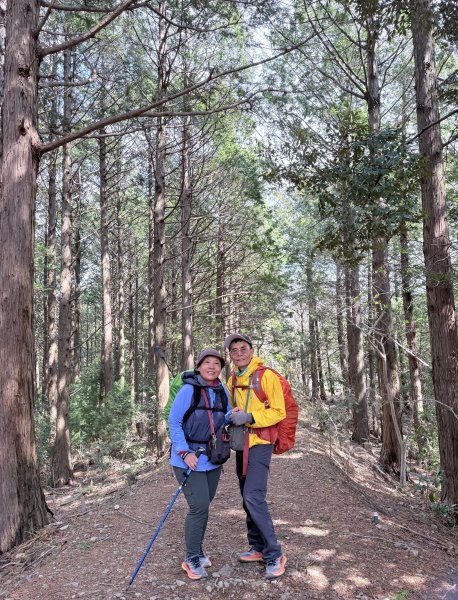 熊野古道中邊路D2 清姬--近露王子 2025.3.172745411