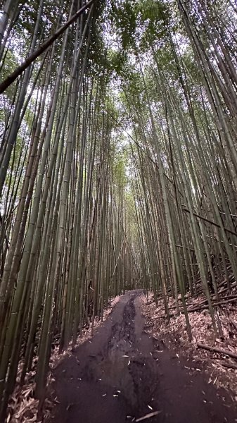 歷史與美景的夢幻國家步道霞喀羅1963683