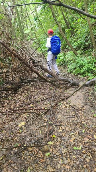 2025-01232淡蘭古道北二段(燦光寮古道到澳底)2696567