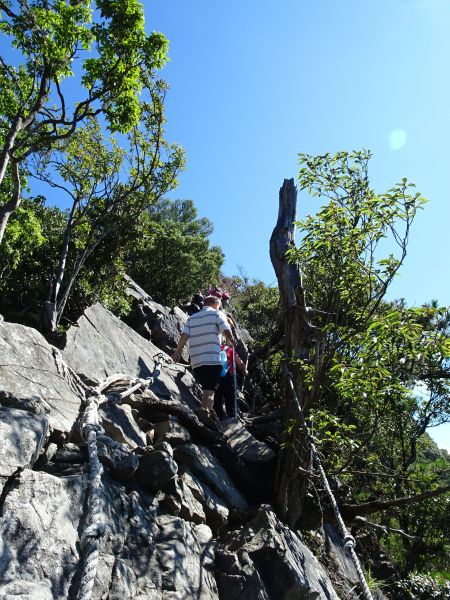 中級山尋幽~台中和平區鳶嘴山(第5次)378776