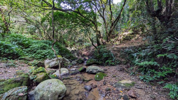 石笋古道,遇見雞母嶺2340717