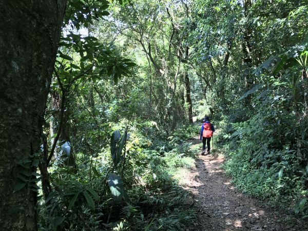 大艽芎縱走新溪洲山120677