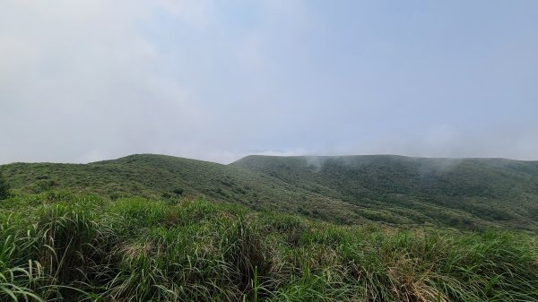 陽明山國家公園-磺嘴山、翠翠谷生態保護區1415948