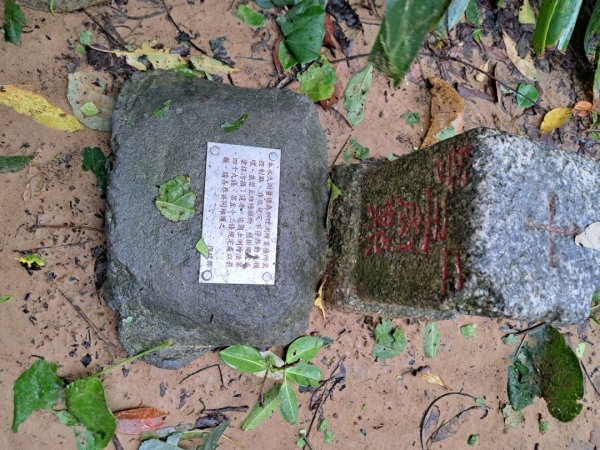 小百岳集起來劍潭親山步道3103142