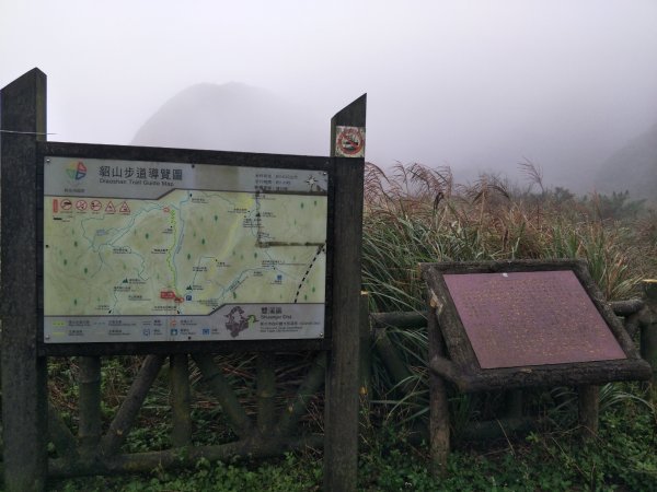 燦光寮登山步道+無緣之墓登山步道(貂山古道1519394