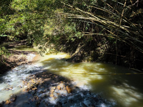 2024-08-22 澀水森林步道2578401