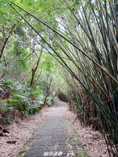 【台北。內湖】山頂好眺望。 小百岳集起來。 編號8小百岳大崙頭尾山親山步道1590473