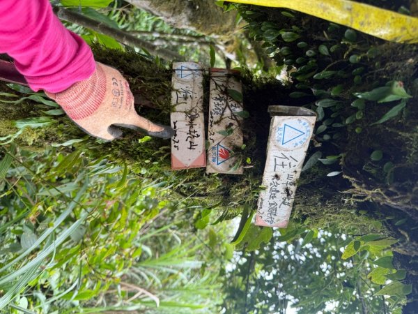 頭城火車站-頭圍山-礁水坑山南峰-礁水坑山-鶯子嶺2867057