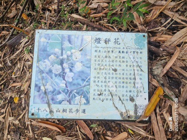 新竹小百岳十八尖山+成功池深度遊3060429