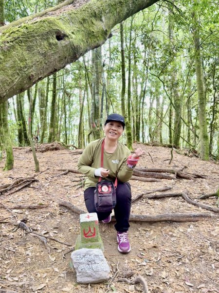 撒落一路楓紅-稍來山    2026.01.012976381