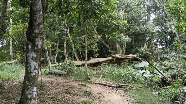 20251004 馬那邦山 - 珠湖 登山口2904827