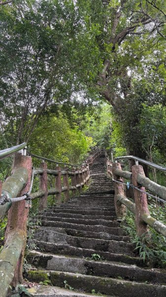 941（旗尾山2905660