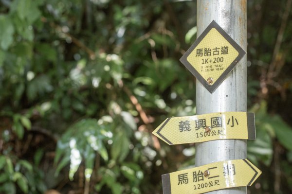 馬胎古道 （馬胎一期、南坪古道、內灣老街）3073810
