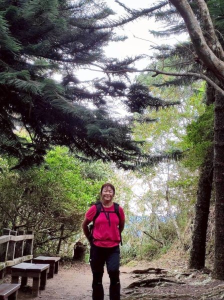 馬那邦山（珠湖登山口）2933934