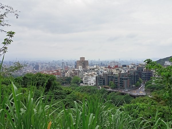 春遊天母→猴洞→半嶺→翠峰步道→翠峰瀑布→天母古道1667762