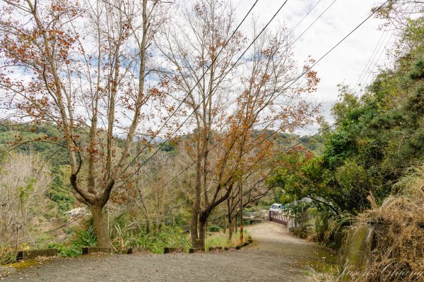 [台中]聚興山2703783